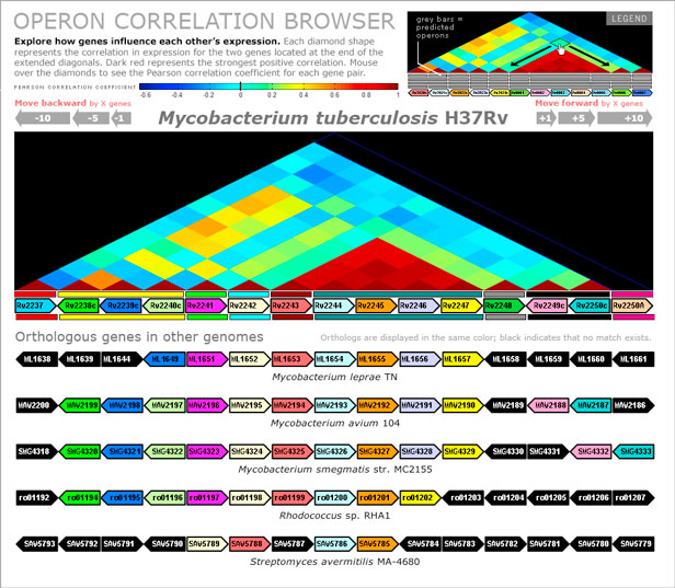 operon browser screen shot